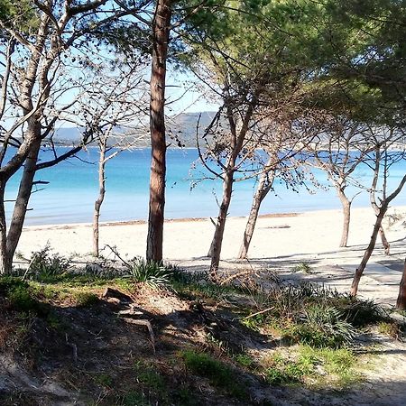 Nuovissimo Appartamento Con Terrazza Alguer Exterior foto